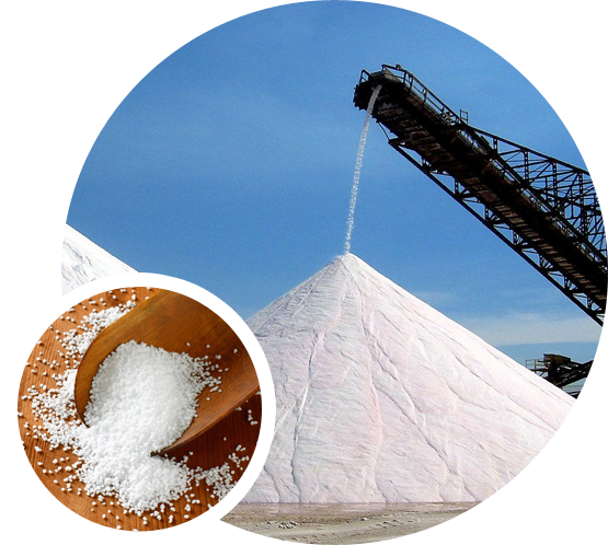 Soda Ash and Sodium Bicarbonate Suppliers In Morbi | Mumbai